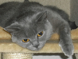 Mendy m.jpg